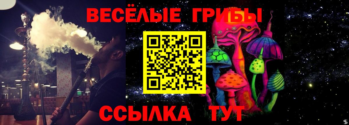 Галлюциногенные грибы Cubensis  Псилоцибиновые грибы ЛСД  Кохма  Вход с VPN 