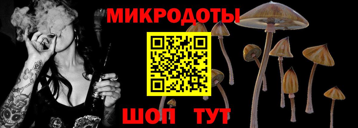 Галлюциногенные грибы мицелий Кохма