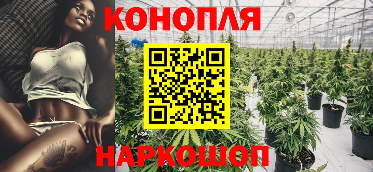 Бошки марихуана AK-47 Кохма